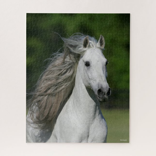 Bob Langrish | Grey Andalucian Stallion headshot Jigsaw Puzzle (Vertical)