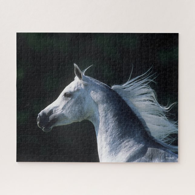 Bob Langrish | Grey Arab Headshot 3 Jigsaw Puzzle (Horizontal)
