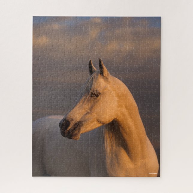 Bob Langrish | Grey Arab Headshot Evening Light Jigsaw Puzzle (Vertical)