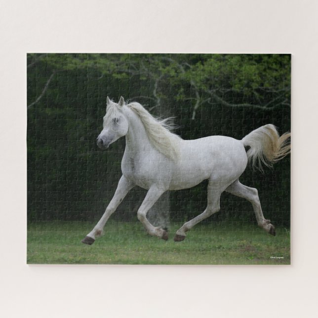 Bob Langrish | Grey Arab Running Jigsaw Puzzle (Horizontal)