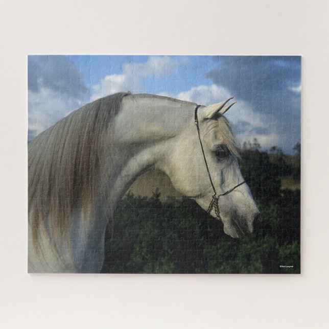 Bob Langrish | Grey Arab Stallion Headshot Jigsaw Puzzle (Horizontal)