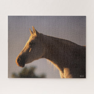 Bob Langrish Grey Arab Standing Backlit Headshot Jigsaw Puzzle