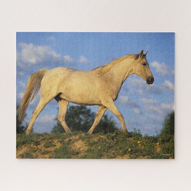 Bob Langrish | Grey Arab Walking Jigsaw Puzzle (Horizontal)