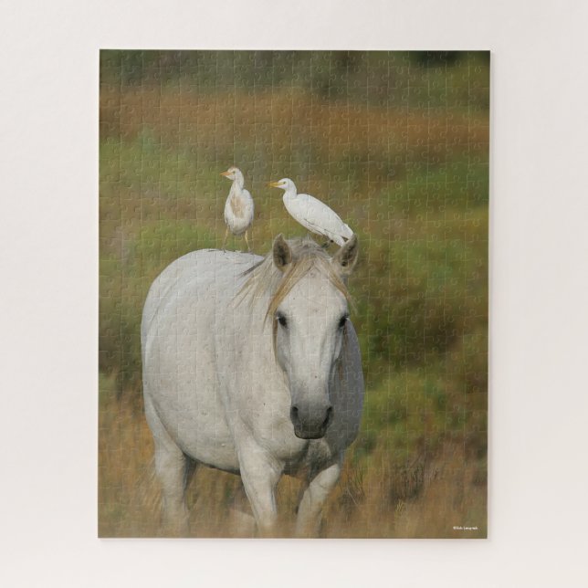 Bob Langrish | Grey Camargue Horse with Two Birds Jigsaw Puzzle (Vertical)