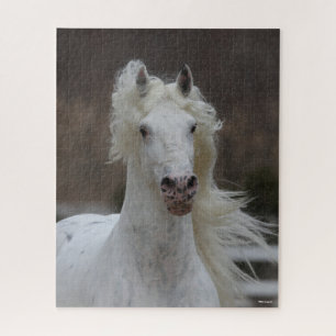 Bob Langrish Grey Friesian Appaloosa headshot Jigsaw Puzzle