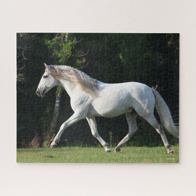 Bob Langrish | Grey Lusitano Stallion Jigsaw Puzzle (Horizontal)
