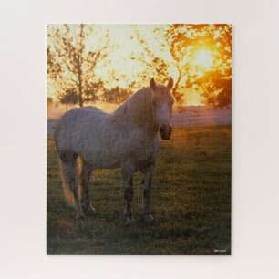 Bob Langrish Grey Percheron Standing In Sunset Jigsaw Puzzle