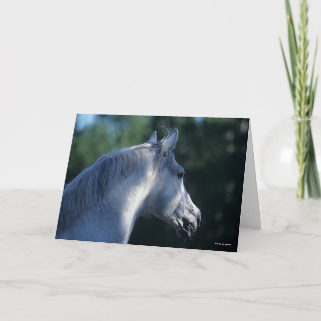 Bob Langrish | Grey Trakehner Stallion Headshot Card (Front)