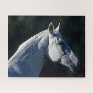 Bob Langrish   Grey Warmblood Standing Headshot Jigsaw Puzzle