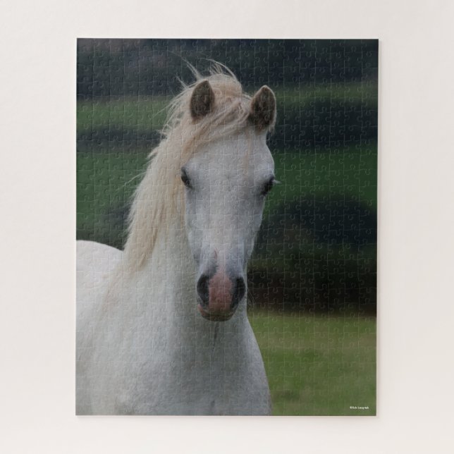 Bob Langrish | Grey Welsh Pony Headshot Jigsaw Puzzle (Vertical)