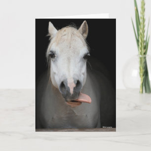 Bob Langrish Grey Welsh Pony Tongue Out Headshot Card