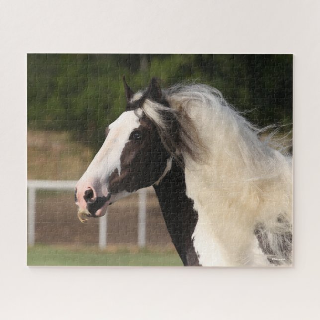 Bob Langrish | Gypsy Vanner Headshot Jigsaw Puzzle (Horizontal)