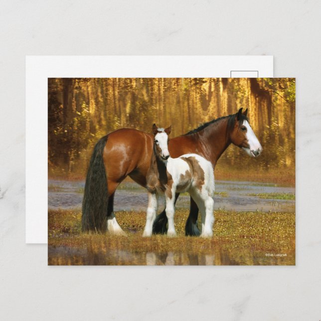 Bob Langrish | Gypsy Vanner Mare and Foal Fantasy Postcard (Front/Back)