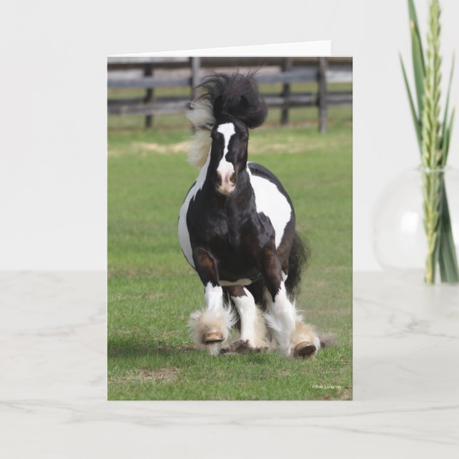 Bob Langrish | Gypsy Vanner Running Card (Front)