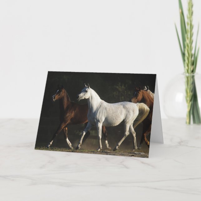 Bob Langrish | Herd Arab Mares Walking Card (Front)