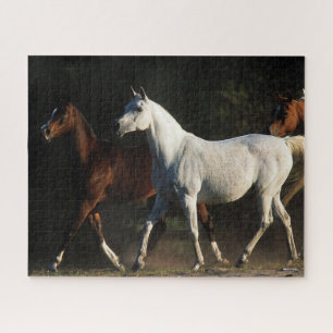 Bob Langrish Herd Arab Mares Walking Jigsaw Puzzle