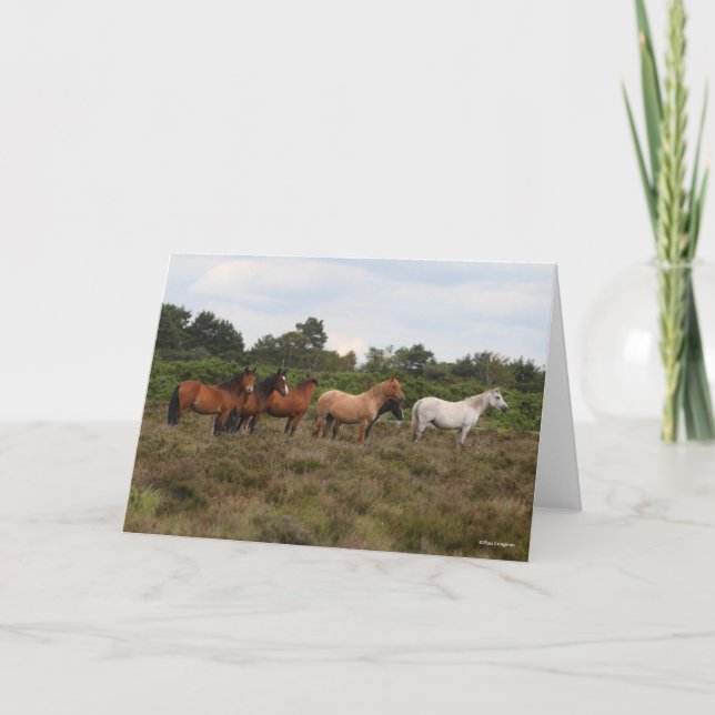 Bob Langrish | Herd New Forest Ponies Standing Card (Front)