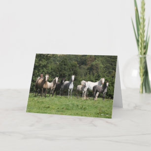 Bob Langrish   Herd Of Welsh Ponies Standing Card