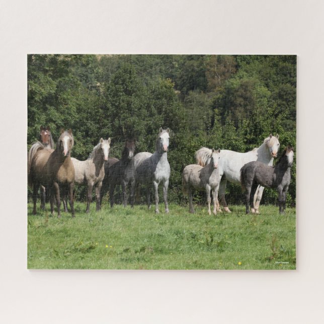 Bob Langrish | Herd Of Welsh Ponies Standing Jigsaw Puzzle (Horizontal)