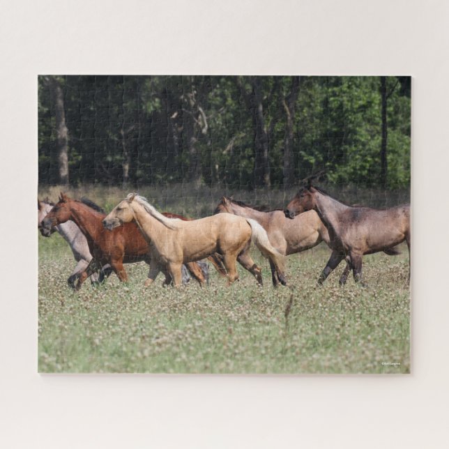 Bob Langrish | Herd Quarter Horses Walking Jigsaw Puzzle (Horizontal)