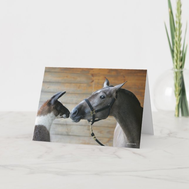 Bob Langrish Llama and Andalucian Meeting Headshot Card (Front)