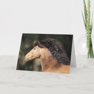 Bob Langrish   Lusitano Headshot Mane Flowing Card