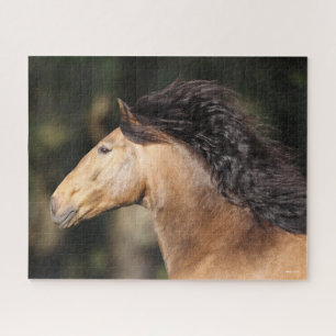 Bob Langrish Lusitano Headshot Mane Flowing Jigsaw Puzzle