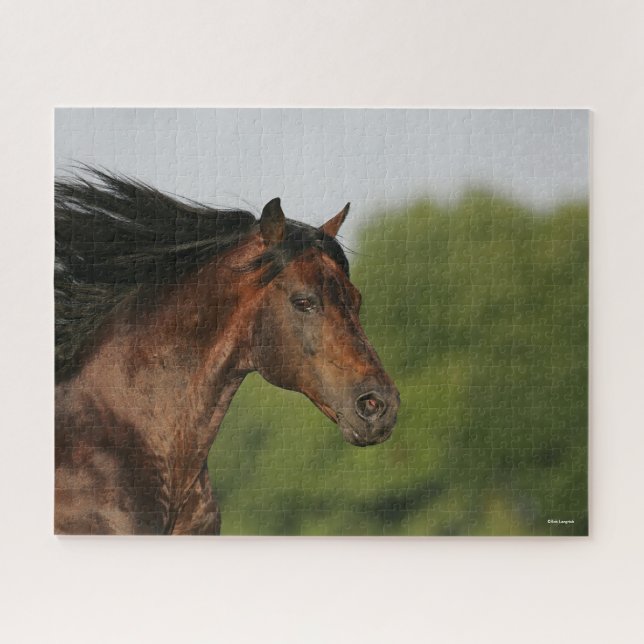 Bob Langrish | Morgan Horse Headshot Flowing Mane Jigsaw Puzzle (Horizontal)