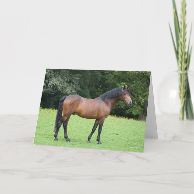 Bob Langrish | New Forest Pony Standing Card (Front)