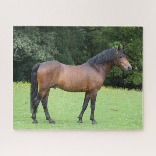 Bob Langrish   New Forest Pony Standing Jigsaw Puzzle