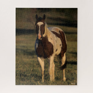 Bob Langrish   Paint Horse Standing Jigsaw Puzzle