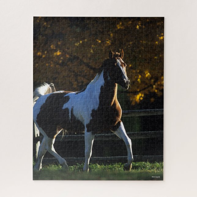 Bob Langrish | Paint Horse Walking Backlit Autumn Jigsaw Puzzle (Vertical)