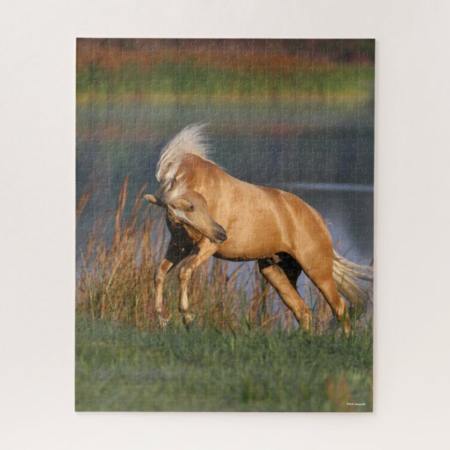 Bob Langrish | Palomino Lusitano Stallion Bucking Jigsaw Puzzle (Vertical)