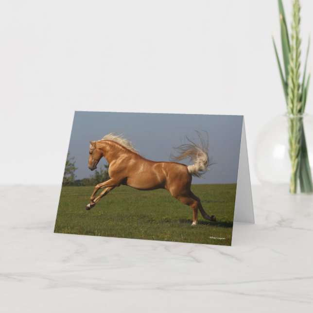 Bob Langrish | Palomino Lusitano Stallion Leaping Card (Front)
