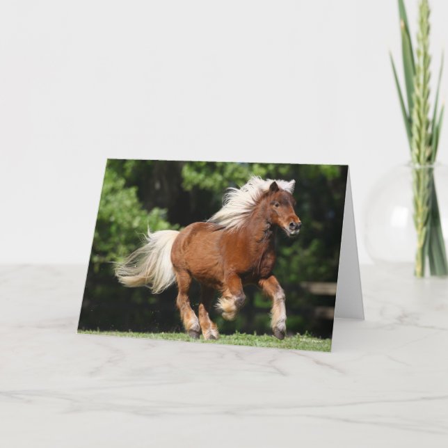 Bob Langrish | Palomino Miniature Pony Running Card (Front)