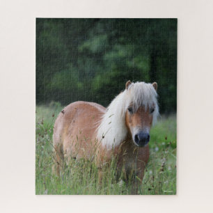 Bob Langrish   Palomino Shetland Standing In Grass Jigsaw Puzzle