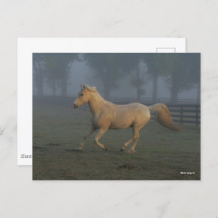 Bob Langrish Palomino Tennessee Walker in Mist Postcard