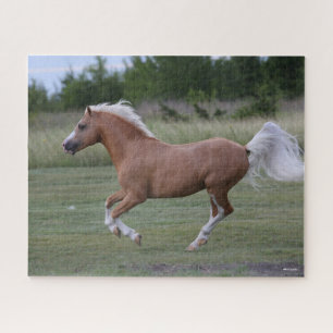 Bob Langrish   Palomino Welsh Pony Running Jigsaw Puzzle