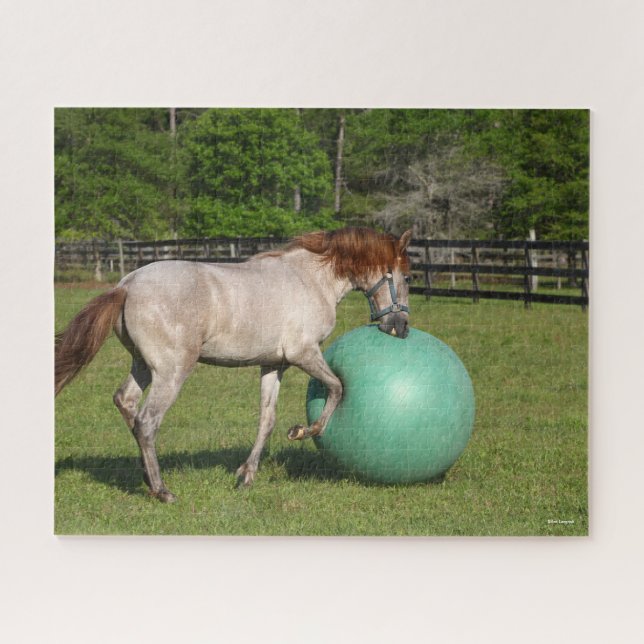 Bob Langrish | Paso Fino Horse Playing With Ball Jigsaw Puzzle (Horizontal)