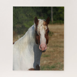 Bob Langrish   Pinto Haflinger Horse Headshot Jigsaw Puzzle