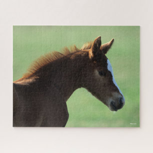 Bob Langrish   Quarter Horse Foal Backlit Jigsaw Puzzle