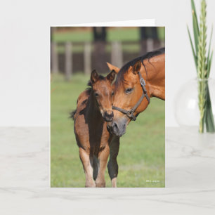 Bob Langrish Quarter Horse Mare and Foal Card