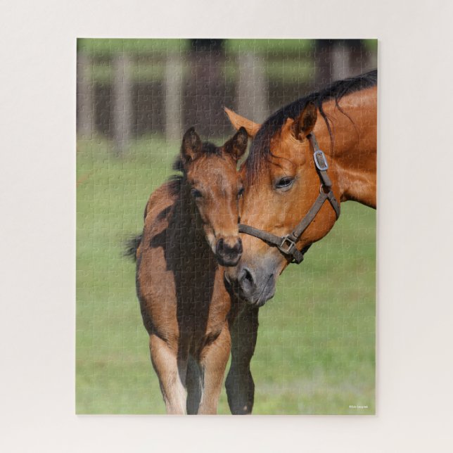 Bob Langrish | Quarter Horse Mare and Foal Jigsaw Puzzle (Vertical)