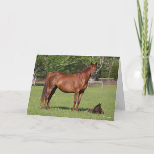 Bob Langrish Quarter Horse Mare and Foal Standing Card