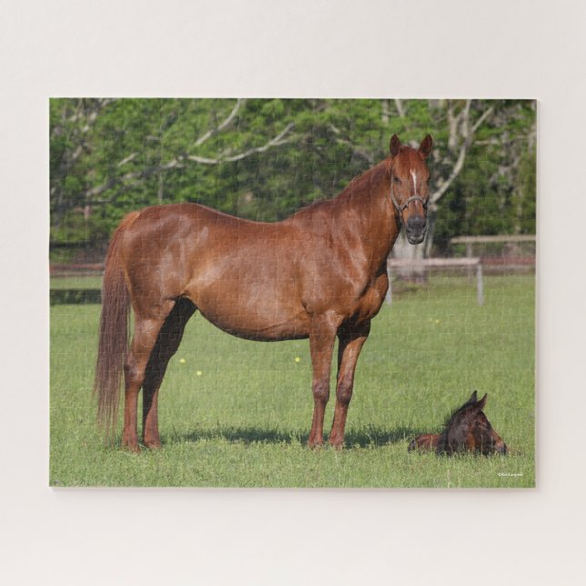 Bob Langrish Quarter Horse Mare and Foal Standing Jigsaw Puzzle (Horizontal)