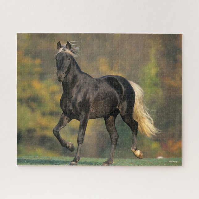 Bob Langrish | Rocky Mountain Horse Autumn Jigsaw Puzzle (Horizontal)