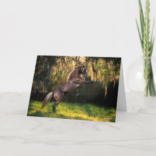 Bob Langrish   Rocky Mountain Horse Rearing Card