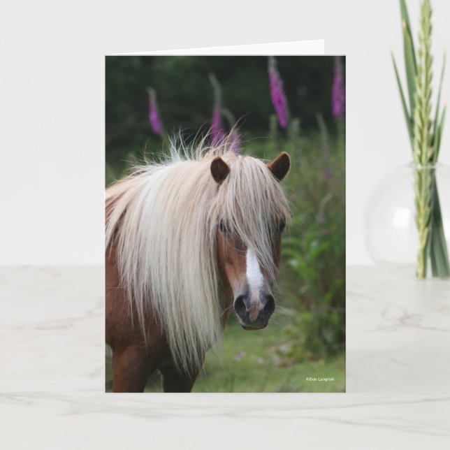 Bob Langrish | Shetland Pony headshot With Flowers Card (Front)