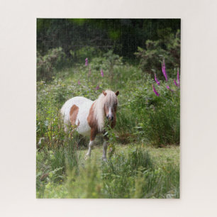 Bob Langrish   Shetland Pony Standing By Flowers Jigsaw Puzzle