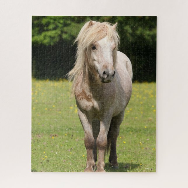 Bob Langrish | Shetland Pony Standing Jigsaw Puzzle (Vertical)